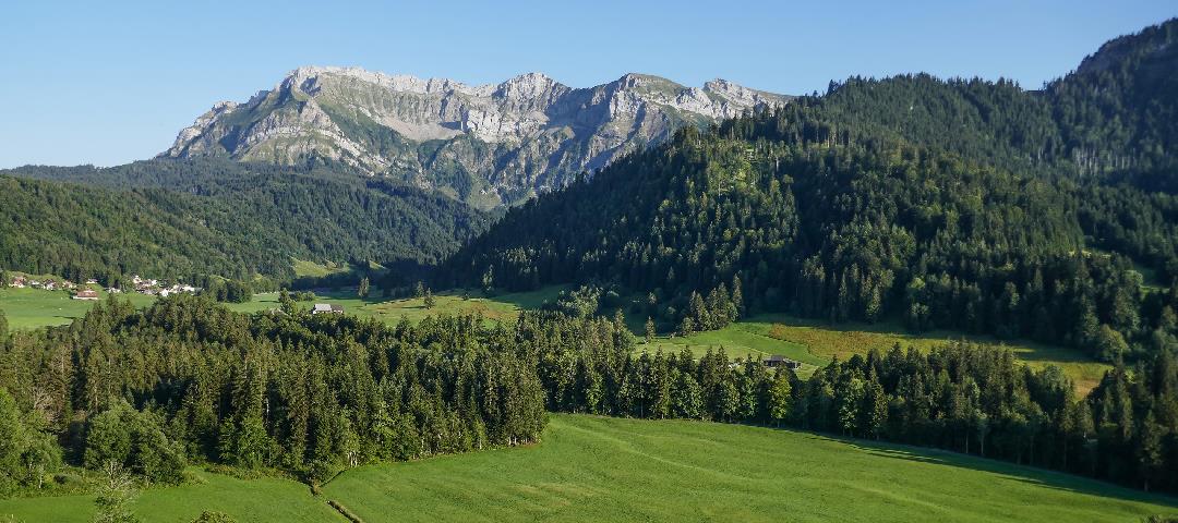 Zvierifahrt in Eigental, Mittwoch 17.09.2025