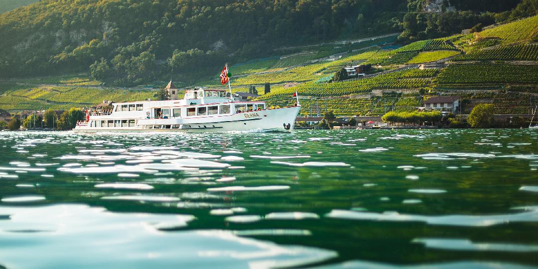 Herbstgenuss auf dem Bielersee, Mi 15.10.25
