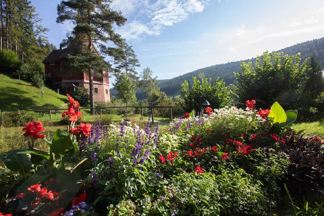 Landesgartenschau Freudenstadt, Mo, 11.08.25