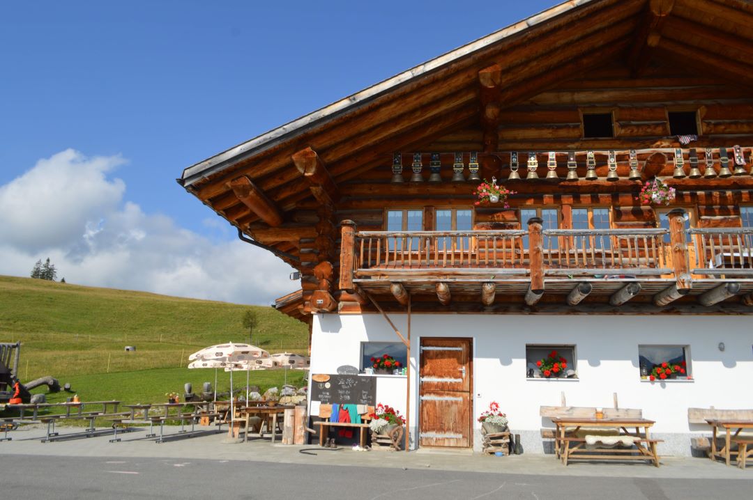 ZVIERIFAHRT ZUR SITE ALP, Di, 05.08.25
