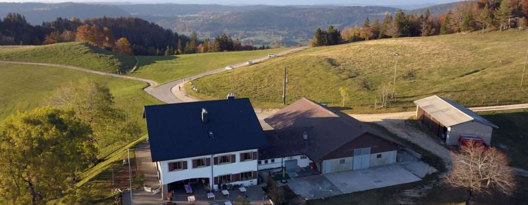 ZVIERIFAHRT ZUM LA WERDTBERG, Mi, 08.10.25