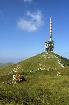 Halbtagesfahrt auf den Chasseral
