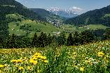 Sommerferien in der Wildschönau