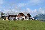 Halbtagesfahrt auf die Site Alp