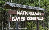 Abschlussreise Bayerischer Wald