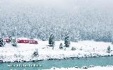 Glacier- und Bernina Express im Winter