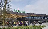 Holland zur Tulpenblüte 4 Tage