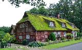 Lüneburger Heide