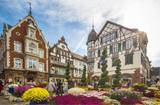 Chrysanthema Lahr im Schwarzwald